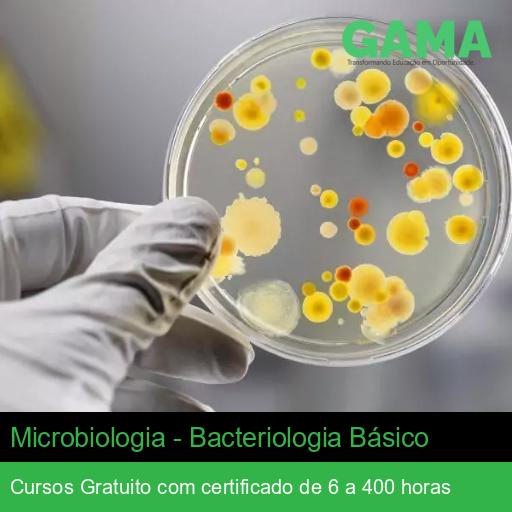 Microbiologia - Bacteriologia Básico